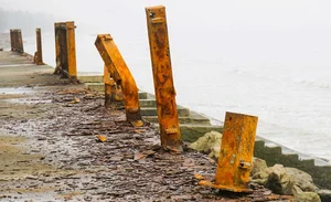 Addressing Pollution Issues at Thanh Hoa's Beautiful Beaches - image 10