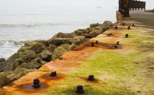 Addressing Pollution Issues at Thanh Hoa's Beautiful Beaches - image 3
