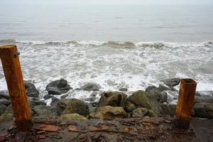 Addressing Pollution Issues at Thanh Hoa's Beautiful Beaches - image 6
