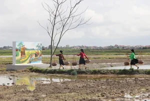 A Journey Through Time: Exploring the Ancient Relics of Ho Xuan Huong's Hometown - image 1