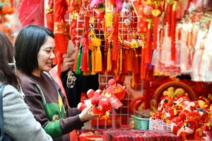Vibrant Global Preparations for the Year of the Dragon - image 9