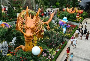 Vibrant Global Preparations for the Year of the Dragon - image 2