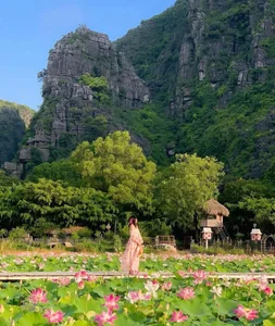 Budget Travel Guide: Experience Ninh Binh’s Lotus Season for Just $40 - image 7