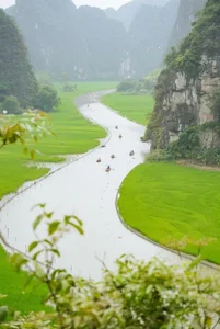Budget Travel Guide: Experience Ninh Binh’s Lotus Season for Just $40 - image 1