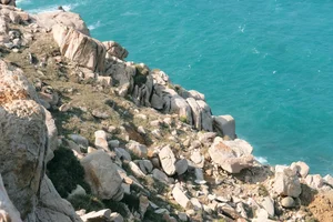 Get Lost in the Magical Stone Landscapes of Ninh Thuan - image 10