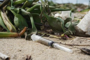 Da Nang Beaches Face Massive Cleanup After 10 Tons of Trash Wash Ashore - image 3