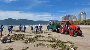 Da Nang Beaches Face Massive Cleanup After 10 Tons of Trash Wash Ashore - image 5