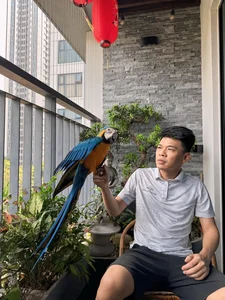 Inside the Luxurious Multi-Million Dollar Home of Actor Trung Ruoi - image 0