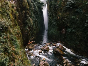 Discovering Dragon Waterfall: Nature's Majestic Masterpiece - image 3