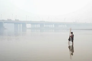 Pakistan Smog Crisis: Record Pollution Levels Impacting Millions in Lahore and Beyond - image 3