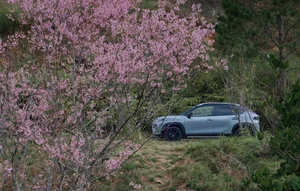 Camping in Da Lat: A Scenic Adventure with the Suzuki Fronx Urban SUV - image 5