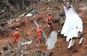 A Closer Look at the Boeing 737 Involved in South Korea Incident - image 8
