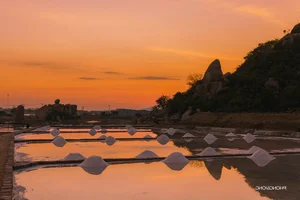 The Rustic Charm of Khanh Tuong Salt Fields: A Must-Visit Destination at Dawn - image 3