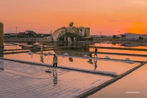 The Rustic Charm of Khanh Tuong Salt Fields: A Must-Visit Destination at Dawn - image 0