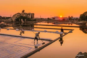 The Rustic Charm of Khanh Tuong Salt Fields: A Must-Visit Destination at Dawn - image 2