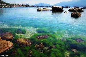 The Rustic Charm of Khanh Tuong Salt Fields: A Must-Visit Destination at Dawn - image 1