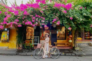 Vietnamese Showbiz News: Tang Nhat Tue House and Tieu Vy - image 8
