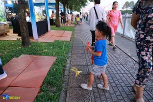 Ho Chi Minh City River Festival: A Spectacular Celebration of Culture - image 1