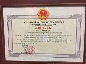 From Migrant Worker to Millionaire: The Inspiring 30 Billion VND Success Story - image 2