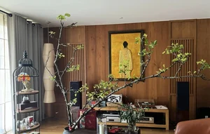Inside Quang Dung's 400m2 Japanese-Style Minimalist Villa - image 4