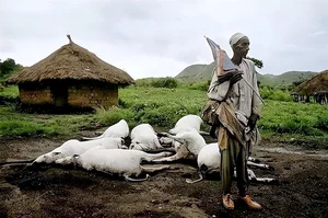 The Mystery of Lake Nyos: The Deadly Lake That Claimed 1,746 Lives - image 4