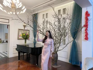 Inside the Luxurious Hanoi Mansion of a Famous Showbiz Star - image 2