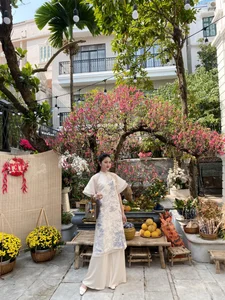 Inside the Luxurious Hanoi Mansion of a Famous Showbiz Star - image 8