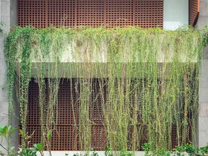 The Inverse Funnel House: A Unique Architectural Marvel in HCM City - image 10