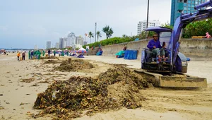 Environmental Challenges at Vung Tau's Bai Sau Beach: The Ongoing Cleanup - image 1