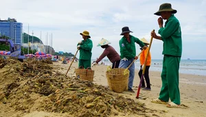 Environmental Challenges at Vung Tau's Bai Sau Beach: The Ongoing Cleanup - image 7