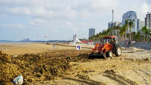 Environmental Challenges at Vung Tau's Bai Sau Beach: The Ongoing Cleanup - image 2