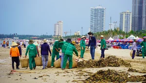 Environmental Challenges at Vung Tau's Bai Sau Beach: The Ongoing Cleanup - image 0