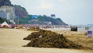 Environmental Challenges at Vung Tau's Bai Sau Beach: The Ongoing Cleanup - image 3