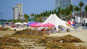 Environmental Challenges at Vung Tau's Bai Sau Beach: The Ongoing Cleanup - image 5