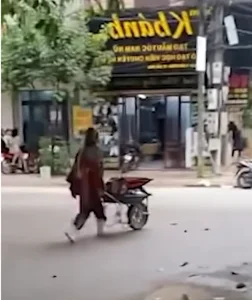 Vietnamese Social Media Personality Bella Surprises Netizens by Traveling Across Vietnam with a Wheelbarrow - image 0
