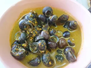 Exploring India's Exotic Snail Delicacy: A Taste Better Than Goat Meat? - image 7