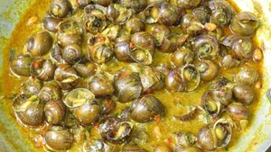 Exploring India's Exotic Snail Delicacy: A Taste Better Than Goat Meat? - image 3