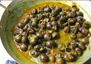 Exploring India's Exotic Snail Delicacy: A Taste Better Than Goat Meat? - image 1