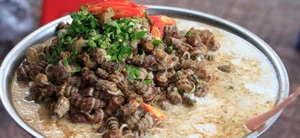 Exploring India's Exotic Snail Delicacy: A Taste Better Than Goat Meat? - image 5