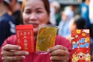 Thousands Gather in Binh Duong for the Vibrant Lady Thien Hau Festival - image 9