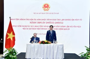 President Luong Cuong’s Official Visit to Egypt: Strengthening Diplomatic Ties - image 1