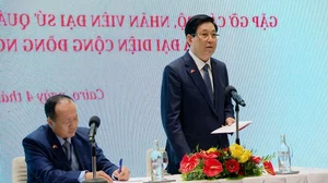 President Luong Cuong’s Official Visit to Egypt: Strengthening Diplomatic Ties - image 3