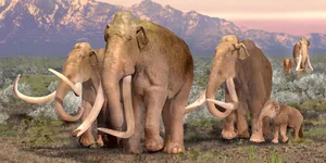 Hunter Stumbles Upon Rare Prehistoric Mammoth Tusk During Routine Deer Hunt - image 6