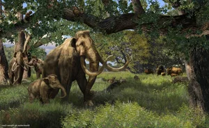 Hunter Stumbles Upon Rare Prehistoric Mammoth Tusk During Routine Deer Hunt - image 5