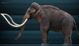 Hunter Stumbles Upon Rare Prehistoric Mammoth Tusk During Routine Deer Hunt - image 0