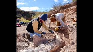 Hunter Stumbles Upon Rare Prehistoric Mammoth Tusk During Routine Deer Hunt - image 2