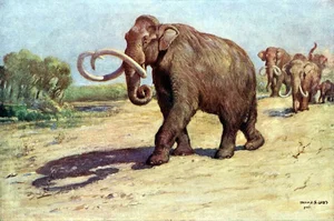 Hunter Stumbles Upon Rare Prehistoric Mammoth Tusk During Routine Deer Hunt - image 1