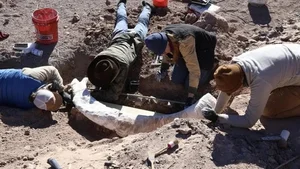 Hunter Stumbles Upon Rare Prehistoric Mammoth Tusk During Routine Deer Hunt - image 3