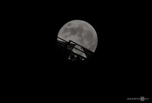 The Year’s Largest Supermoon Lights Up the Night Sky Across Vietnam - image 1