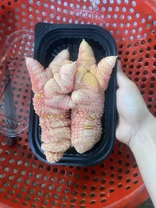 Why People Are Rushing to Buy Dong Tao Chicken Feet for Tet - image 2